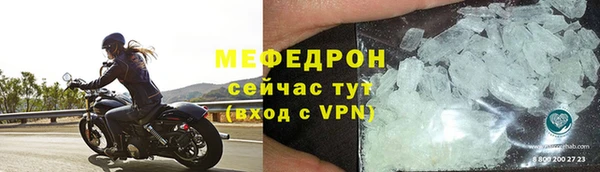 индика Краснослободск
