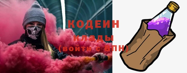 индика Краснослободск