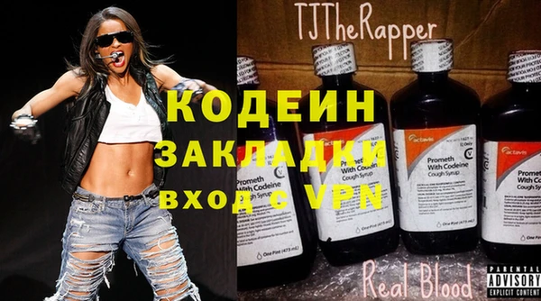 индика Краснослободск