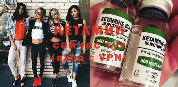 индика Краснослободск