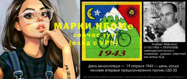 индика Краснослободск