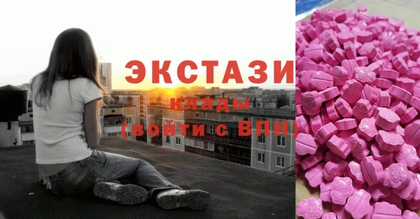 индика Краснослободск