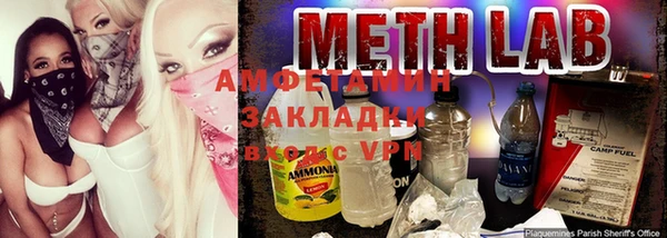 индика Краснослободск