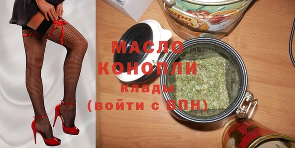 индика Краснослободск