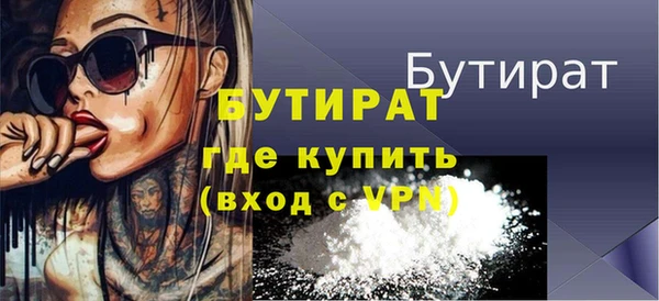 индика Краснослободск