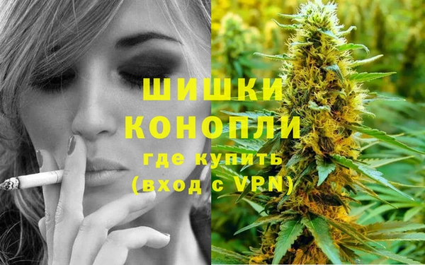 индика Краснослободск