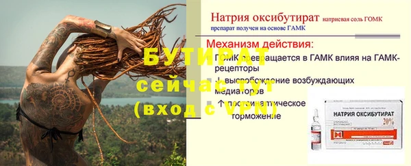 индика Краснослободск