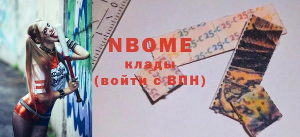 индика Краснослободск