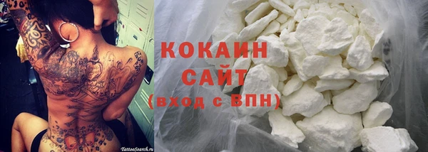 индика Краснослободск