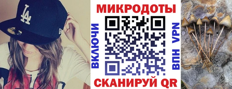 Галлюциногенные грибы Psilocybine cubensis  Новочеркасск 