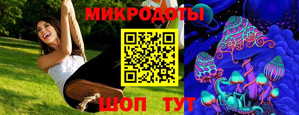 Галлюциногенные грибы Psilocybine cubensis Новочеркасск