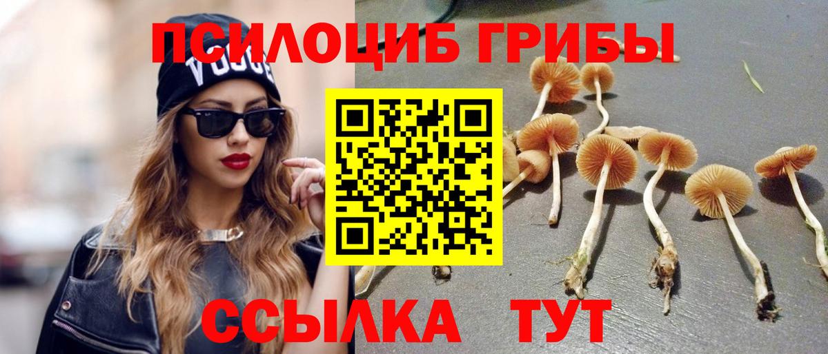 Псилоцибиновые грибы GOLDEN TEACHER  Вход с VPN  Новочеркасск 